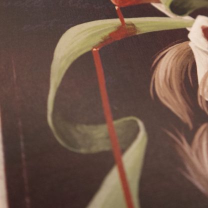 Bloody Poppies [A4 Print] - Image 2
