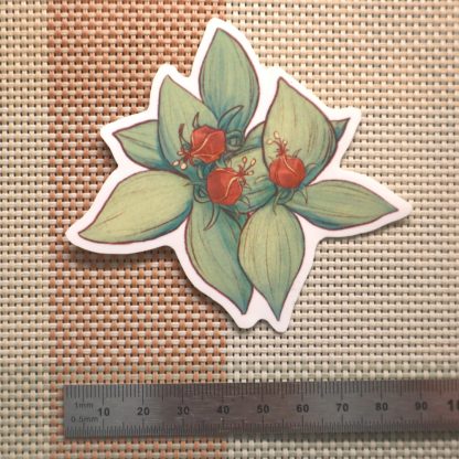 Herb Paris Sticker - Image 2